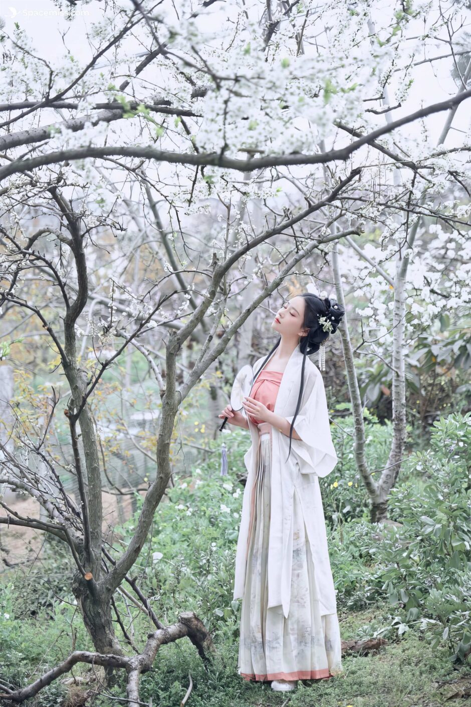 spacemiss.com-年年Nnian-三月花-2