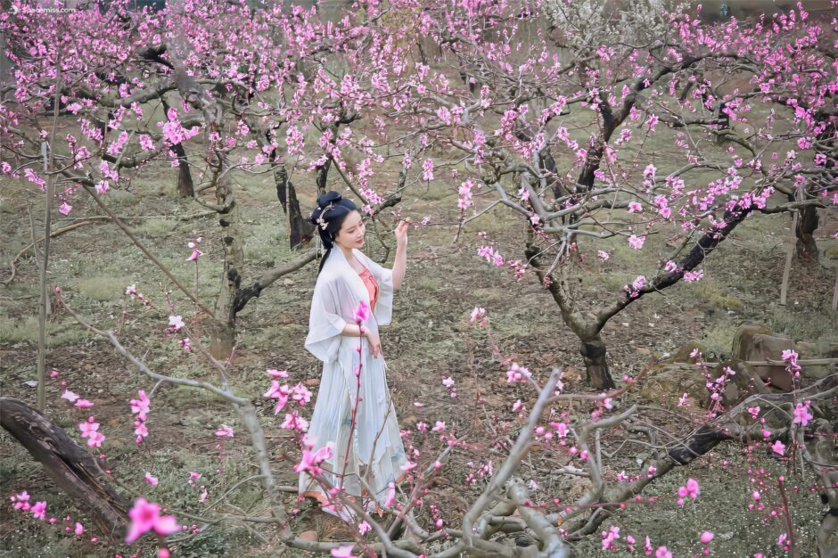 spacemiss.com-年年Nnian-三月花-20