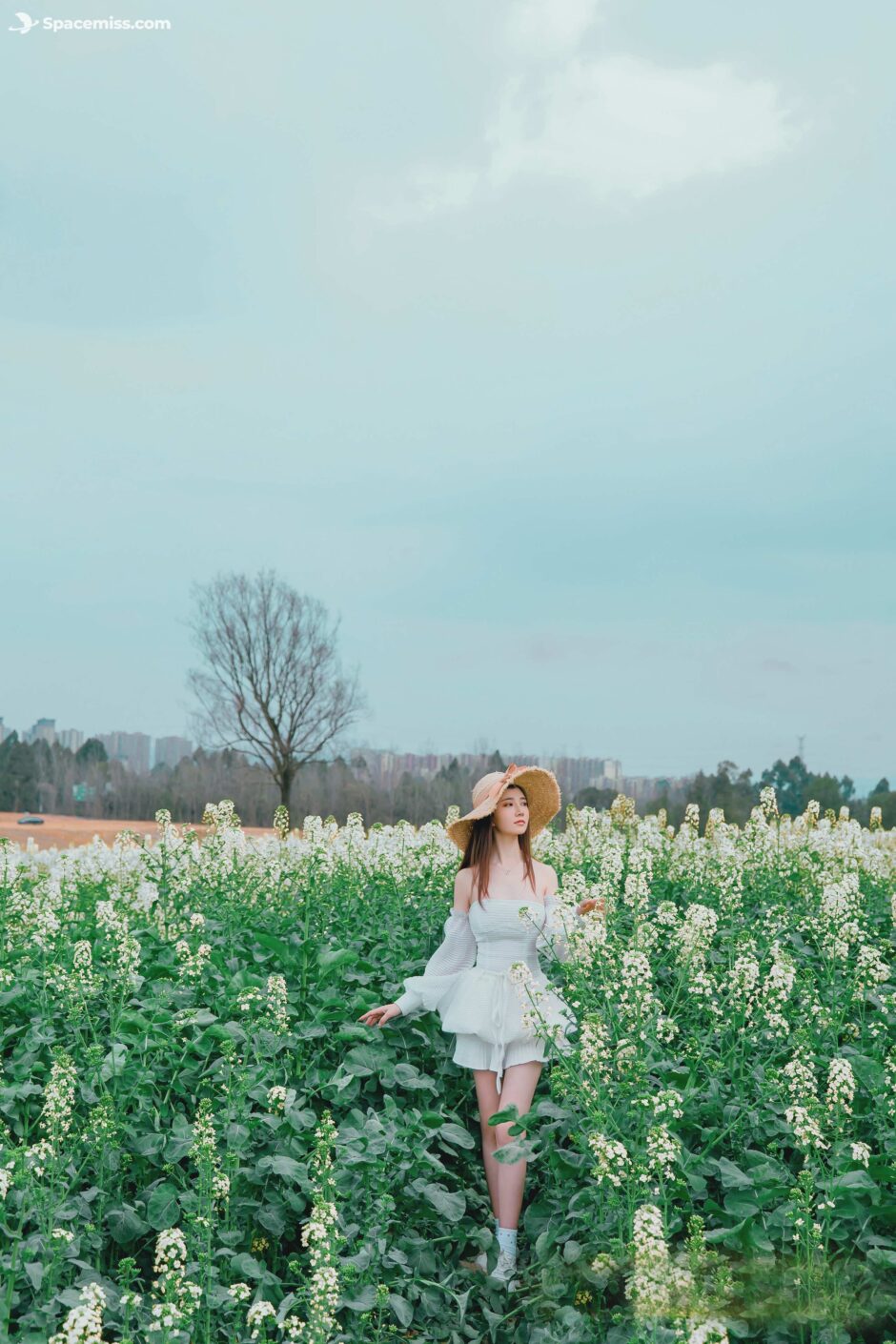 年年Nnian-花野-5